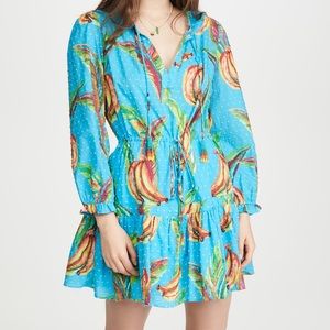 Farm Rio Banana Sky Mini